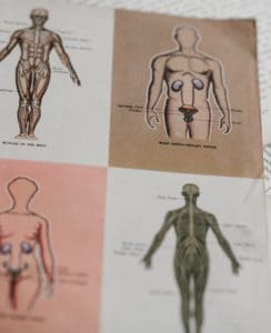 Building a Medical Terminology Foundation (book cover)